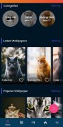 Cat Wallpapers HD screenshot 7