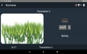 Burmese Language Tests screenshot 10