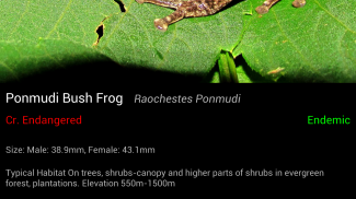 Frog Find screenshot 3