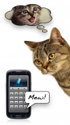 Mensch-Katze-Übersetzer screenshot 0