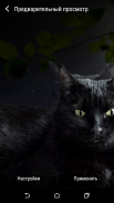 Chat noir mignon fonds d'écran animés screenshot 7