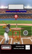 Baseball Homerun Fun screenshot 3
