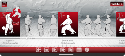 ShotokanKata screenshot 6