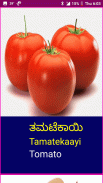 Learn Kannada Fruits and Vegetables screenshot 12