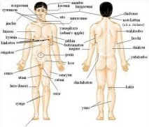 Body Reflexology Point screenshot 5