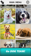 Dog Slide Puzzle screenshot 1