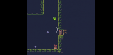 Dungeon Hoppin Ninja screenshot 1