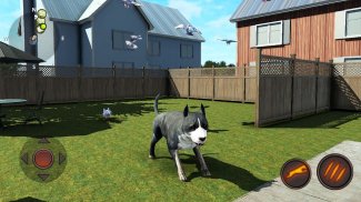 AmStaffs Dog Simulator screenshot 3