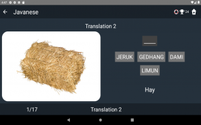 Javanese Language Tests screenshot 16