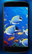 Aquarium HD Live Wallpaper screenshot 2