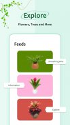 Plant Identifier - snap screenshot 3