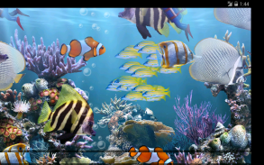 Настоящий аквариум - живые обои screenshot 4