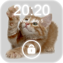 4K Cat Lock Screen Wallpaper Icon