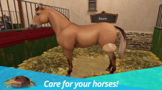Horse World – 승마: 말 게임 screenshot 18