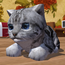 Cute Pocket Cat 3D Icon