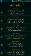 Mirza Ghalib Poetry  دیوانِ غالبؔ screenshot 4