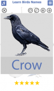 تعليم أسماء الطيور باللغة الان screenshot 3