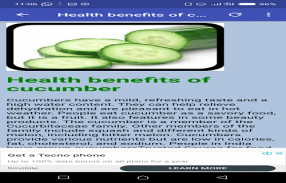 Health benefits of cucumber screenshot 1