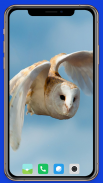 Owl Wallpaper screenshot 6