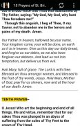 The 15 Prayers of St. Bridget screenshot 5