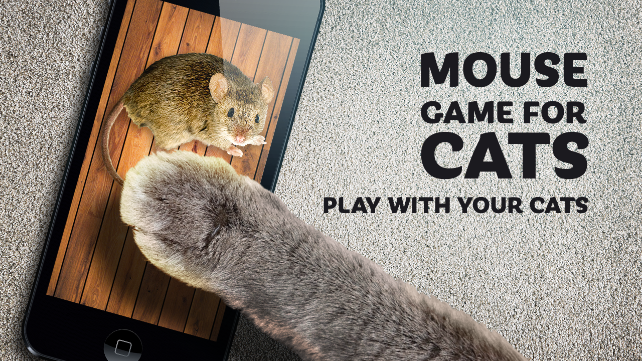Jogos para Gatos - Barata for Android - Free App Download
