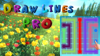 Draw Lines: Pro screenshot 5