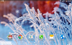 Winter Flowers Live Wallpaper screenshot 2