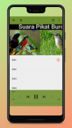 Suara Pikat Burung Ribut Mp3 screenshot 0