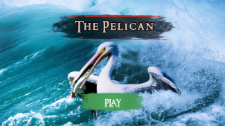 The Pelican screenshot 21