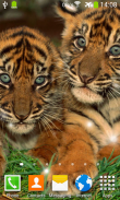 Little Tiger Live Wallpaper screenshot 6