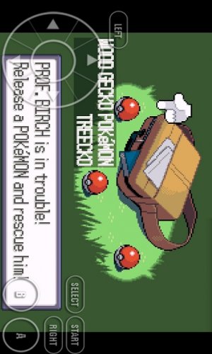 Pokemon: Omega Ruby screenshot 3