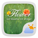 Flower Reward Theme GO Weather