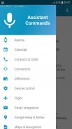 Assistant Commands screenshot 2