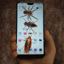 bug prank on screen Icon