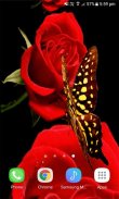 Red Roses Butterfly LWP screenshot 2