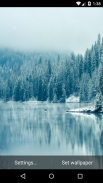 Winter Live Wallpaper HD screenshot 4