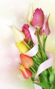 Colorful Tulips Live Wallpaper screenshot 2