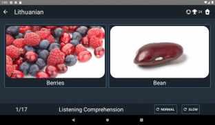 Lithuanian Language Tests screenshot 18
