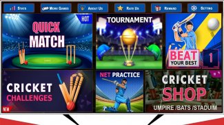 Cricket Championship Game 2024 screenshot 3