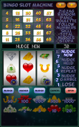 Bingo Slot Machine. screenshot 5