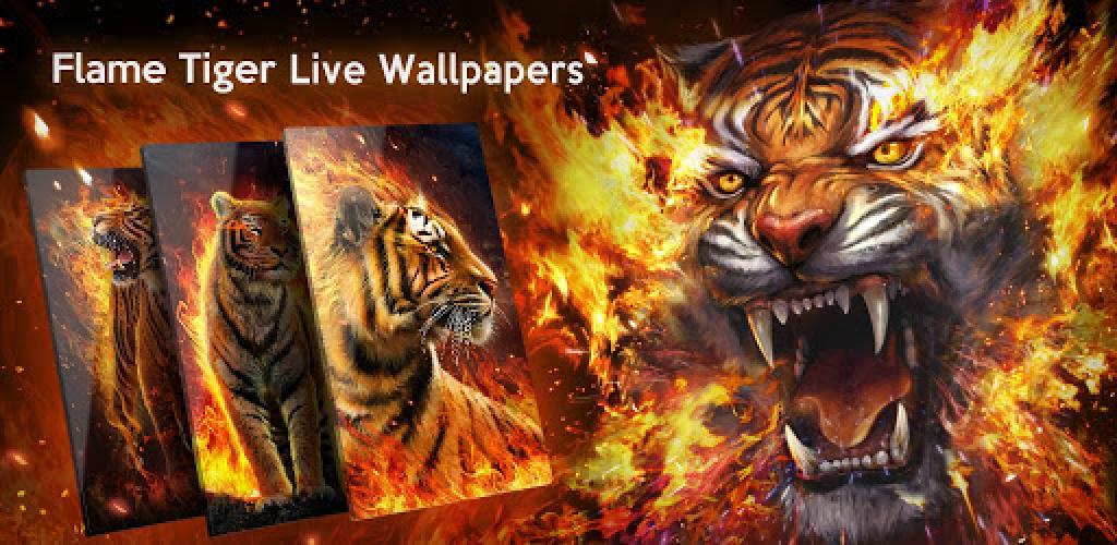 Tigers Rage Fire 2K wallpaper download
