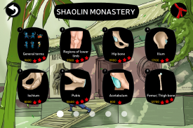 Anatomy Ninja screenshot 1