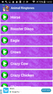 Animal Ringtones screenshot 4