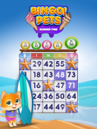 Bingo Pets: Logo Bingo en casa screenshot 7