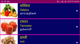 Learn Hindi from Tamil Pro screenshot 1