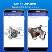 Gray's Anatomy - Anatomy Atlas 2020 screenshot 5