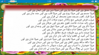 Saraiki Poetry screenshot 0