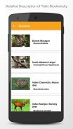 Bhramanthi - Sahyadri Tiger Reserve screenshot 6