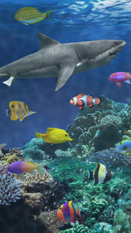 Shark Aquarium Live Wallpaper 11024 Download Apk For Android