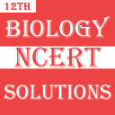 Class 12 Biology NCERT Solns